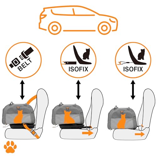 MY DUQUE – Modell CAR-GO Faltbare Hundebox und Transportbox für Katzen | ISOFIX für einfachen Einbau im Auto | Erweiterbare Hundetransportbox mit Zugriff vorn & hinten – Ideal für Flugreisen – Grau