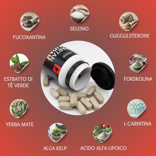 Spartan Burn Plus | Brucia Grassi Naturale | Integratore Metabolismo | 60 Compresse | Supporto Energetico Naturale Con Yerba Mate, Guggul E Carnitina - 3