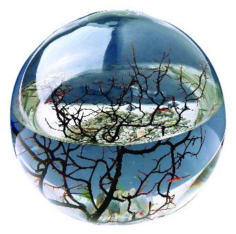 ecosphere aquarium замкнутой экосистемы
