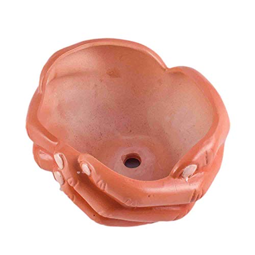 Image of Lasaki Hand-Shaped HP Flower Planter for Indoor & Outdoor Plants | Decorative Balcony, Garden & Office Succulent Pot | Unique Designer Gamla Plant Holder (18cm X 16cm X 9cm)