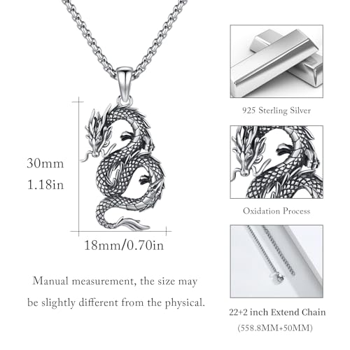 Dragon Necklace for Men 925 Sterling Silver Pendant Necklace Unisex Jewelry Valentine's Day Birthday Gift for Men Women 22+2 Inch Chain2