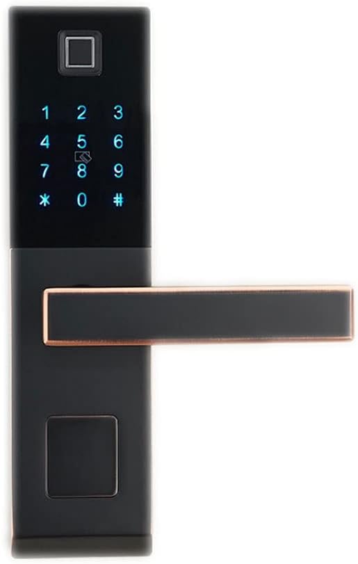 Door Knob Lever Door Levers with Fingerprint Unlocking Home Smart Electronic Lock Door Handle for Bedroom Study Room Office Villa Door Lock with Handle (Color : Black and red Patina)