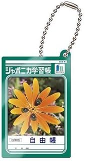 2.自由帳 ジャポニカ学習帳 ダブルアクリルチャーム ガチャガチャ