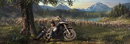Sony Interactive Entertainment Days Gone - Standard Edition - [PlayStation 4]  wersja niemiecka