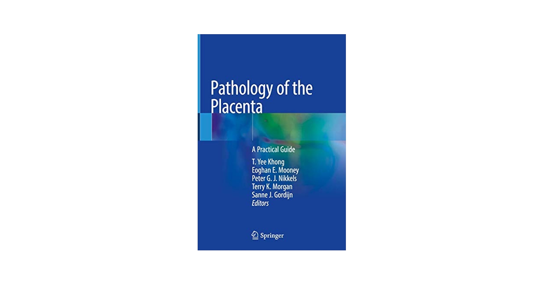 Pathology of the Placenta: A Practical Guide: 9783319972138