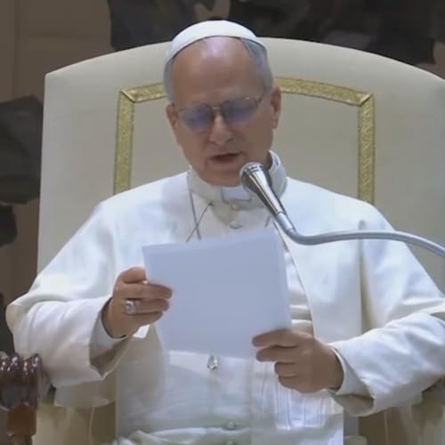 Feb 4 Wed Audience Pope Leo XIV about Dei Verbum