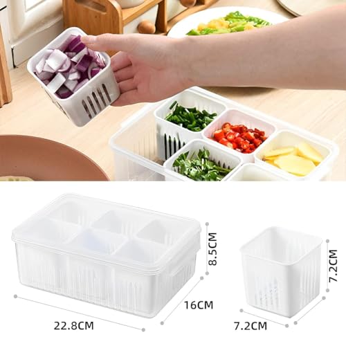 Image of Plastic Fridge Storage Box - 6 Grid Container | Freezer & Refrigerator Organizer | Kitchen Storage Container for Vegetables, Masala, Snacks & More (Pack of 1)