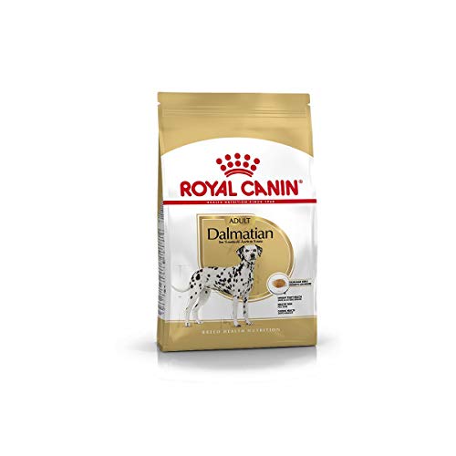 Royal Canin Dalmatian 22 Adult 12 kg, 1er Pack (1 x 12 kg)