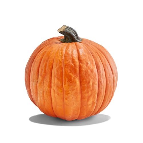 PRODUCE Large Carving Pumpkin