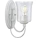 Progress Lighting Bowman Collection 1-Light Clear Chiseled Glass Coastal Bath Vanity Light Cottage White