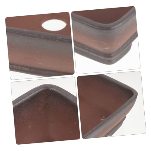 Pot à bonsaï compact et léger pour petits espaces intérieurs - 6