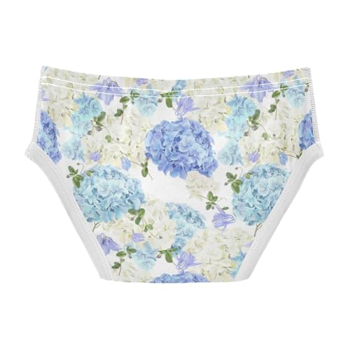 Boys' Exclusive Briefs Toddler Underwear 95% Combed Cotton Boxerbriefs 2T Hydrangea Pattern Flower 662