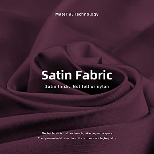 Dgaz Silk Purse Organizer Insert For Lv Carryall Pm/Mm Bag，Silky Smooth Bag Organizer，Luxury Handbag & Tote Shaper（Fuchsia，Mm） #TOP1