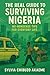 The Real Guide to Surviving Nigeria: No-Nonsense Tips for Everyday Life