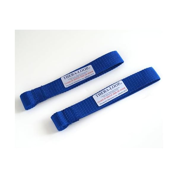 RangeMaster TheraLoop Door Anchor | Secure Non-Slip Resistance Band Anchor for Physical Therapy and Shoulder Recovery | Works with All Exercise Bands and Tubes | Adjustable Height | 2 Pack, Blue