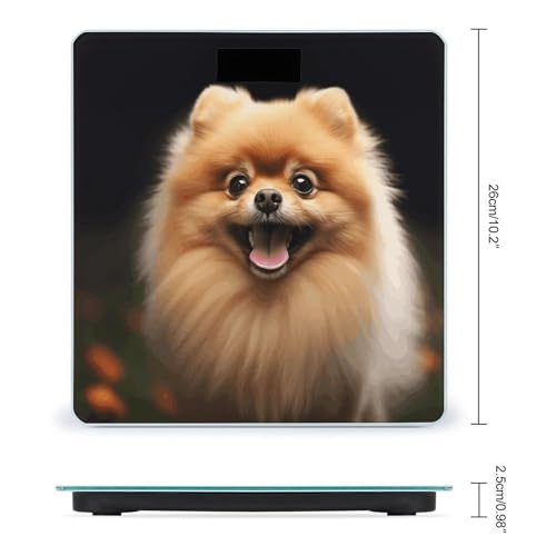 Báscula Digital de Baño con Capacidad 400lb y Pantalla LCD miniatura 2