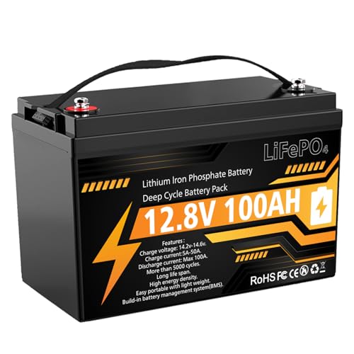 12V 100Ah LiFePO4 Lithium Battery, Group 31 Deep Cycle with Smart 100A BMS & Low Temp Cut-Off, 15000 Cycles 10-Year Life, Lightweight Replacement for RV, Solar, Marine, Home Backup, Off-Grid