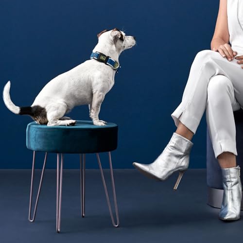 HUNTER Hundehalsung HILO VARIO BASIC, Farbe: anthrazit, innovatives 3D-Mesh-Material, atmungsaktiv, leichter Kühleffekt bei Wärme, reflektierend, stufenlos verstellbar, angenehm leicht, Größe: M-L