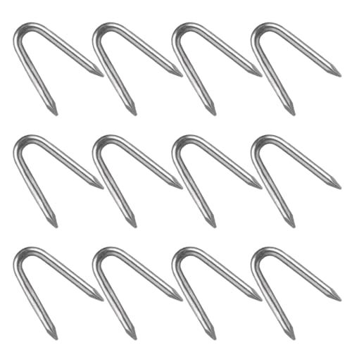 ERINGOGO 100 |p^A[XB yʃRpNg ϖՃ^ tFXŒp lbg[Nx K[fjOprc[