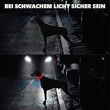 Hundehalsbandanhänger (Red)