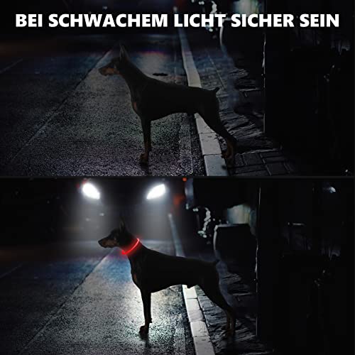SerDa-Run Hundehalsband Leuchtend,Einstellbar Sicherheit Hundehalsband mit 3 Beleuchtungsmodi,USB Aufladbar Wasserdichtes LED Leuchthalsband für Große, mittlere und kleine Hunde