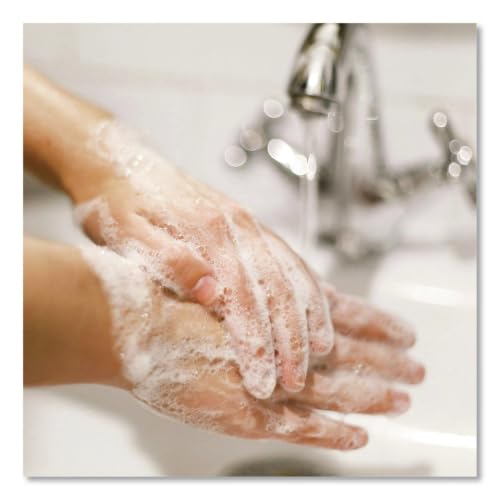 Image of Dial 15926EA Antibacterial Liquid Hand Soap, Spring Water Scent, 1 gal Bottle