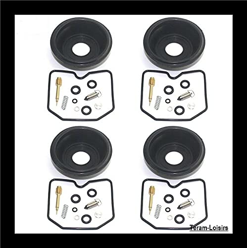 Teram Loisers - Kit de reparación de carburador y membrana compatible con Suzuki GSF 600 Bandit de 1996 a 2003.