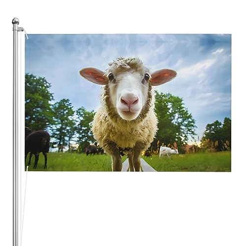 Drapeau d'appareil photo 1,2x1,8 m grand format double face pour extérieur