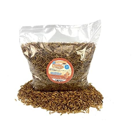 Chubby Mealworms 5 Litre Refill Bag of Chubby Dried Mealworms Food For Wild Birds Cover