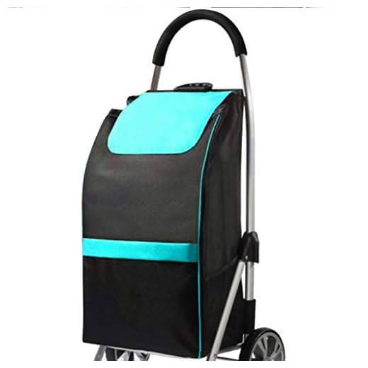 Multifunktionella kundvagnar Köksförvaringsvagnar Bagagevagn Livsmedel Liten vagn Fällbar kundvagn Bil Hushåll Utomhus Mobil Äldre Walking Assist -vagnar 46 * 35 * 100Cm