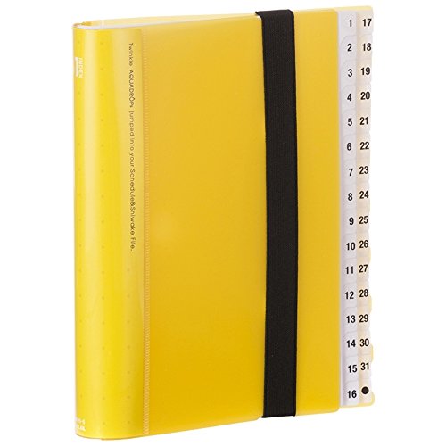 LIHIT LAB　スケジュール＆仕分けファイル 31 赤緑青 Amazon.co.jp: リヒトラブ ファイル スケジュール&仕分け用 31