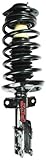 FCS 1332356R Complete Strut Assembly