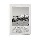 Si necesitas un póster personalizado, ponte en contacto con nosotros.