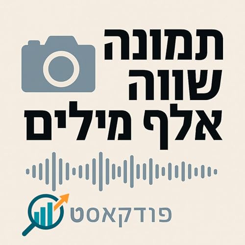 『פייזק קידום אתרים - פרק שלישי איך להתאים את התמונה לדרישות גוגל』のカバーアート