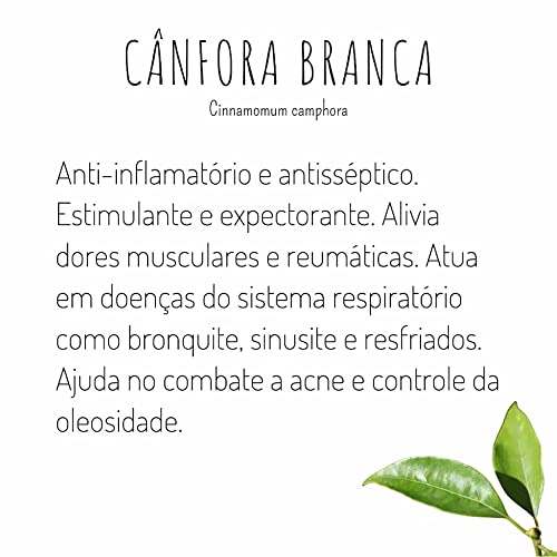 OLEO ESSENCIAL PURO DE CANFORA BRANCA ALKYMIA GRANDHA 10ML