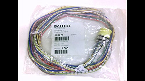 Balluff R23 Bn-19-L-22A-030F, Receptacle, 3Ft, 19Pole, Female, St R23 Bn-19-L-22A-030F