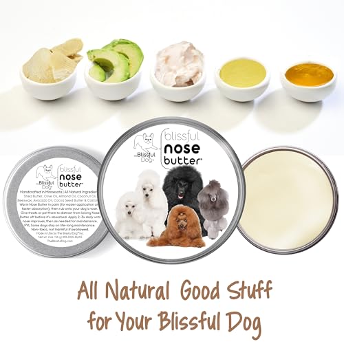 Image of The Blissful Dog Poodle Nose Butter for Dry, Cracked Skin, Lick-Safe Dog Nose Balm with Moisturizing Shea Butter, Almond, Olive, and Essential Oils, Pet Supplies, Uncented, 2 oz.