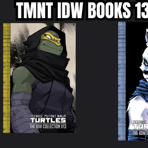 TMNT IDW BOOKS 13 and 14 Girl Ninja Turtle