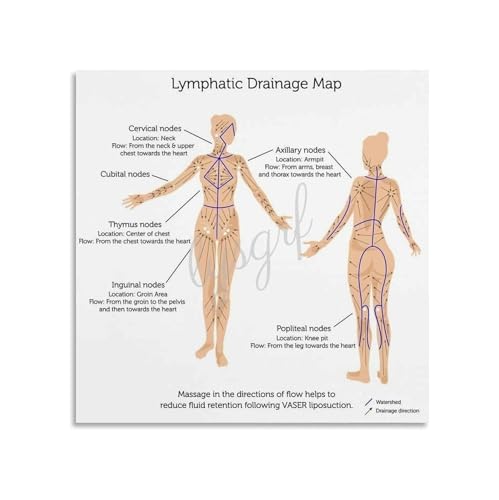 Human Anatomy Poster Lymphatic System Chart Educational Science Canvas Wall Art Print For Doctor Office Classroom Study Room Dec