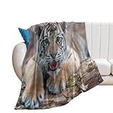 Elegante cucciolo di tigre del Bengala sdraiato nella foresta design e stampa Il motivo classico ed elegante aggiunge un look elegante ed eccezionale a questa coperta, portando un tocco di stile ai tuoi mobili e stanze di lusso. Questa coperta morbida e soffice porta comfort e calore, perfetta per coccolarsi a letto, in un cinema freddo, al parco o in qualsiasi occasione. Può essere utilizzata anche come coperta decorativa nella tua casa, o utilizzare questa coperta come accessorio fotografico sui social media per scattare belle foto,