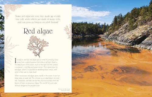 An Anthology of Micro Life: Discover the Stories of the Miniature World (DK Children's Anthologies) Hardcover – September 15, 2026 - Image 5