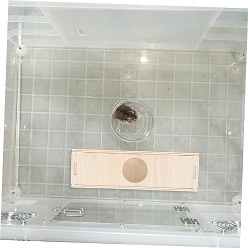 SEWOART Rat Toys Brinquedos de porquinho-da-índia acessórios para animais pequenos brinquedos hamste