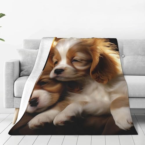 Couverture polaire pour chien ultra douce chaude et durable Dream