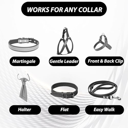 Qianyu 2 Stück Sicherheitshalsbandclips für Hunde Verstellbar Stachelhalsband Sicherungsverschluss Leinenverbinder Leinenclips für Hundewelpen Geschirr Halsband Begleiter Sicherheitsclip