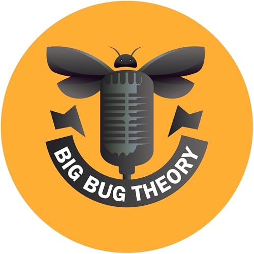 Qualimatrix: BIG BUG THEORY cover art