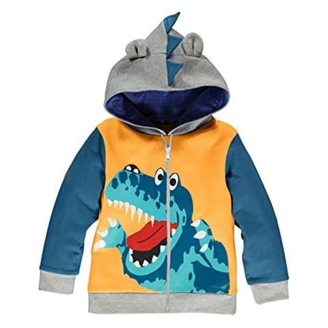 LitBud Cartoon Dinosaur Hoodie for Boys Cover