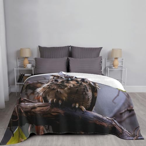Couverture réversible légère contre les nuits fraîches pour lit et fauteuil - 4