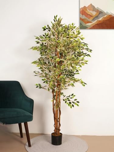 Image of Artificial Ficus Tree with Twisted Natural Wood Trunk, 170 cm Tall Faux Indoor Plant with Realistic Variegated Green Leaves, Maintenance-Free Decorative Tree for Home, Office & Hotel Decor