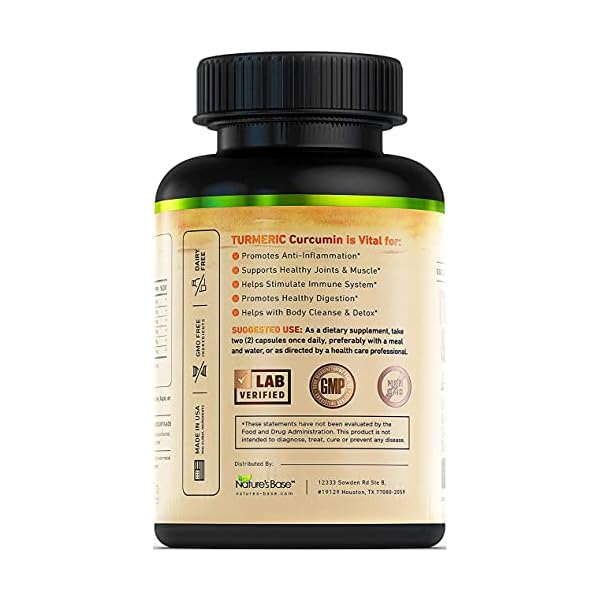 Turmeric-Curcumin-with-Ginger-Apple-Cider-Vinegar-BioPerine-Black-Pepper-95-Curcuminoids-Natural-Joint-Healthly-Inflammatory-Support-Antioxidant-Tumeric-Supplement-Made-in-USA-Natures-Base Turmeric and Ginger Supplement - Tumeric Curcumin Joint Support Pills - with Apple Cider Vinegar & BioPerine Black Pepper - 95% Curcuminoids - 60 Capsules
