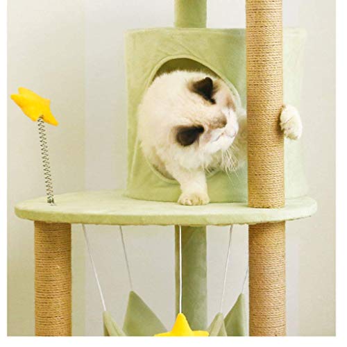 Arbre à chat compact pour stimuler le jeu et protéger vos canapés
